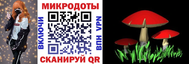 Галлюциногенные грибы мухоморы  Купить  Верея 
